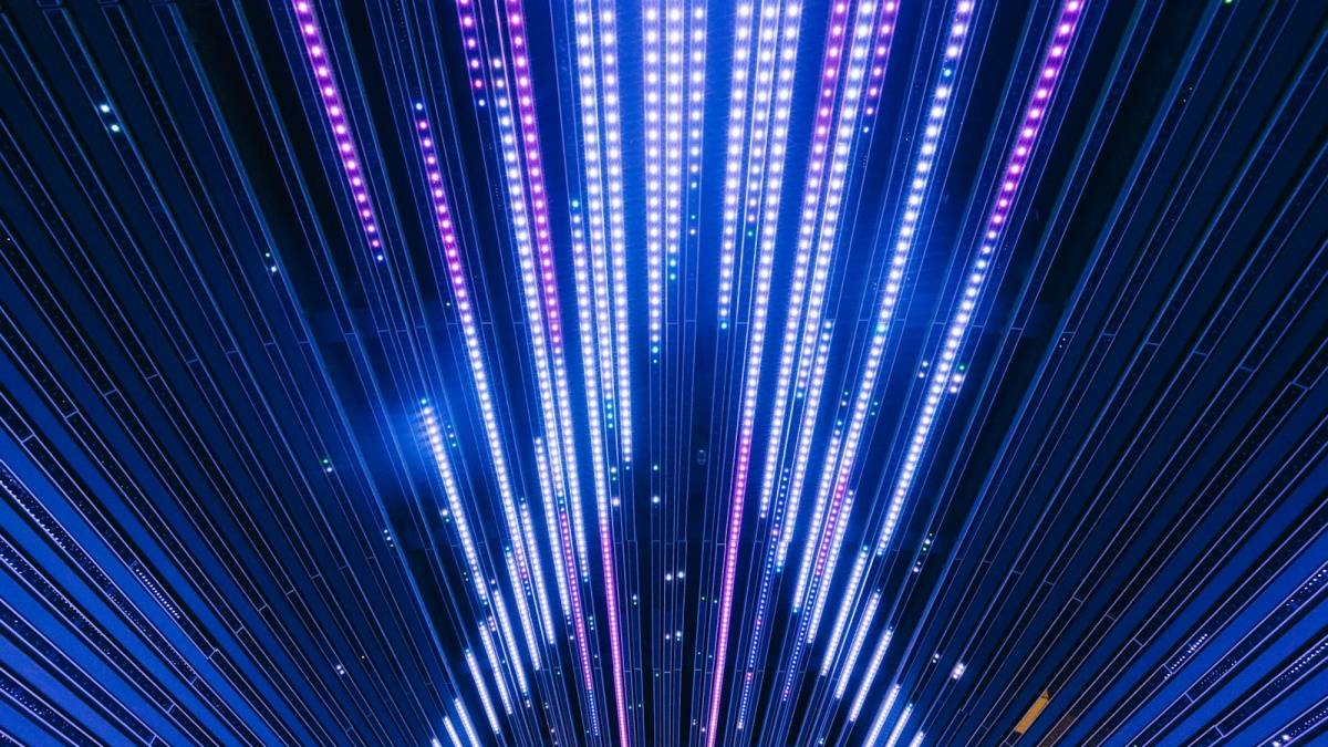 风月AI为什么把数据可控放在陪伴体验之前